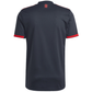 adidas Bayern Munich Third Jersey 22/23 (Night Grey)